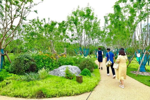 一條名為“幸福”的道路 串起西安綠色長(zhǎng)廊的樹(shù)木種植經(jīng)營(yíng)