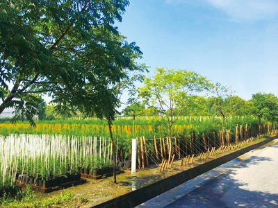 上海市林木種子生產(chǎn)經(jīng)營(yíng)許可證的管理研究及農(nóng)副產(chǎn)品銷售協(xié)同發(fā)展