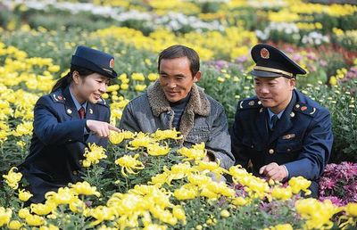 譙城工商積極引導農民轉型，花木種植經營成致富新路徑